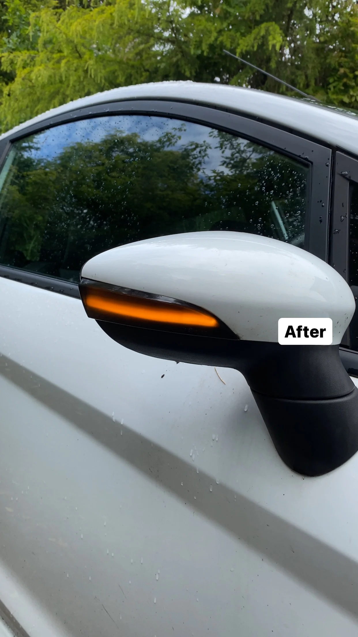 Ford Fiesta MK7/7.5 Wing Mirror Sequential Indicators - Image 4